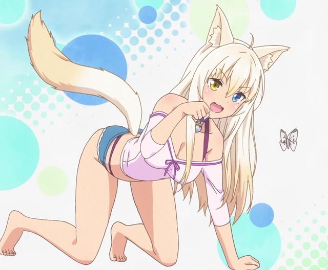 《猫娘乐园》后宫动漫之最！据说全剧只有一位男性！