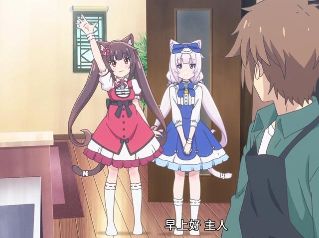 《猫娘乐园》后宫动漫之最！据说全剧只有一位男性！