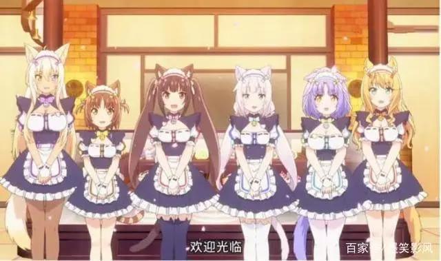 《猫娘乐园》一部超呆萌，很治愈的猫娘动漫！