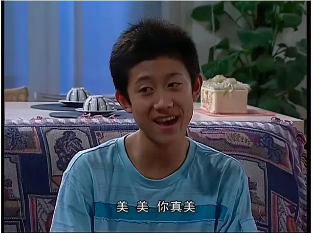 张一山未成年前参演过的一些电视剧，你印象最深的是哪个角色？