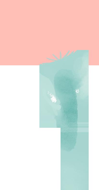 盘点《猫之茗》中你所不知道的秘密