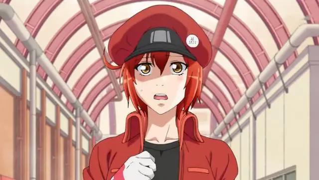 既看动漫又涨姿势，最值得追的动漫在这里——《工作细胞》篇