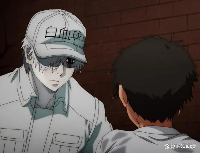 引进的日本动画《工作细胞：细胞大作战》，呆萌可爱的乳酸菌