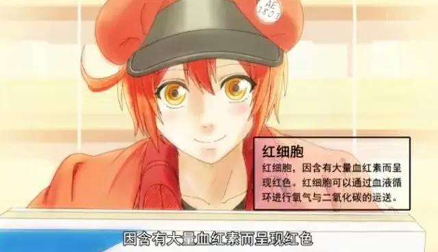 分享15张科普动画《工作细胞》里面的CG知识图片