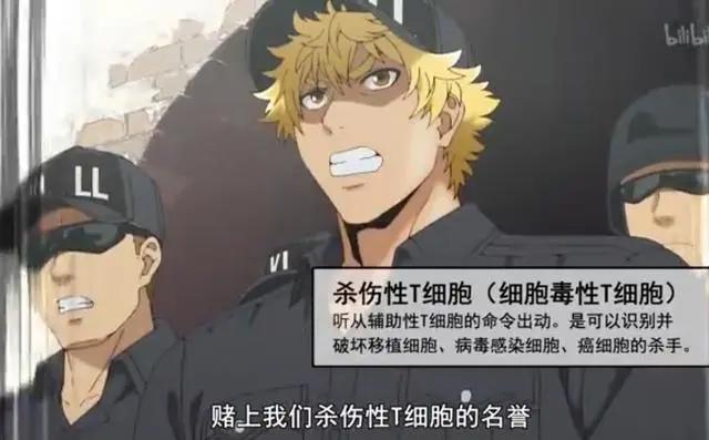 分享15张科普动画《工作细胞》里面的CG知识图片