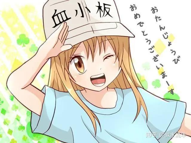 7月推荐动漫《工作细胞》！你从未见过的全新血小板！