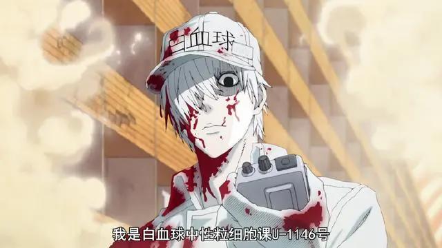 7月推荐动漫《工作细胞》！你从未见过的全新血小板！