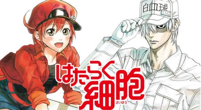 细胞拟人，恋爱同时战斗力爆表，科普动漫《工作细胞》了解一下