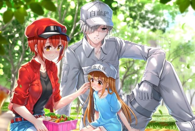 细胞拟人，恋爱同时战斗力爆表，科普动漫《工作细胞》了解一下