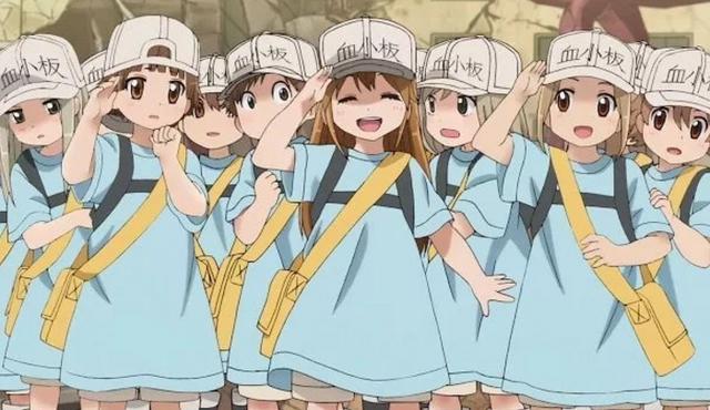 细胞拟人，恋爱同时战斗力爆表，科普动漫《工作细胞》了解一下