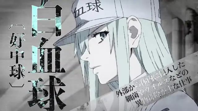 性转版《工作细胞》动画化，白细胞帅哥变凶残御姐，好A一女的