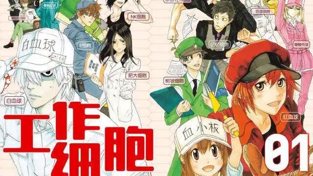 还不爱惜身体？动漫新番《工作细胞》告诉你细胞们多努力！