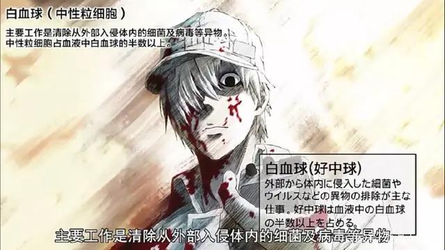 工作细胞：b站评分9.7，第一集就神作的动漫，生物考试就靠这个了