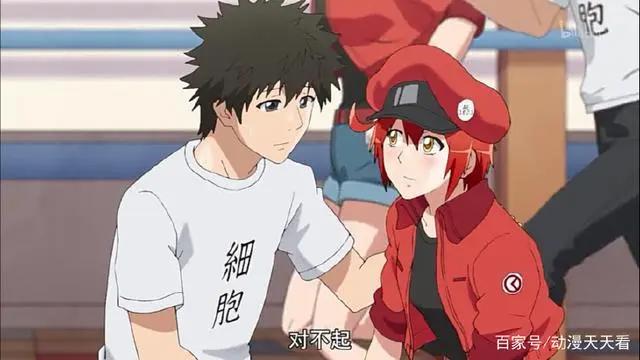 工作细胞：b站评分9.7，第一集就神作的动漫，生物考试就靠这个了