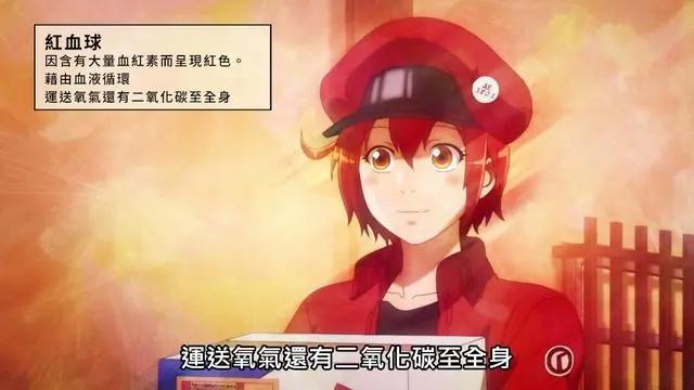 工作细胞无疑是近年来最优秀的动漫作品，动画就应该给人带来知识