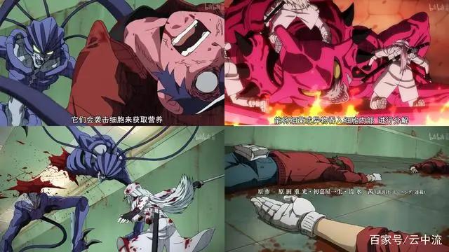 工作细胞：漫画到动漫，剧情大量删改，央视版是重制还是暗幕处理