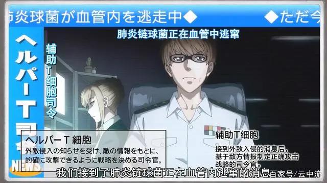 工作细胞：漫画到动漫，剧情大量删改，央视版是重制还是暗幕处理