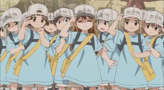 《工作细胞》：最棒的科普动漫