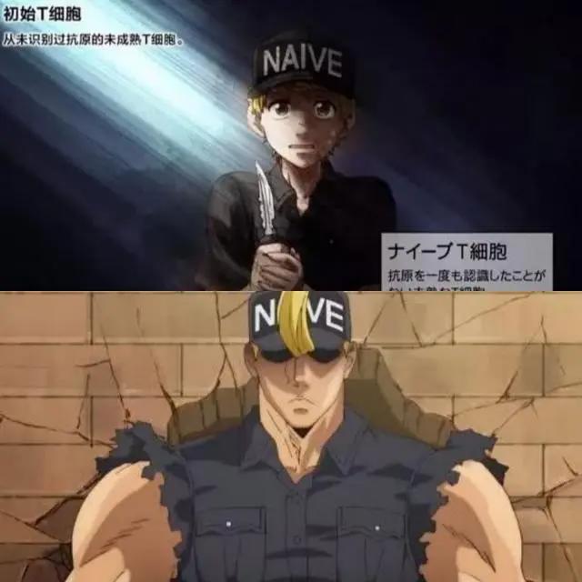 《工作细胞》：最棒的科普动漫