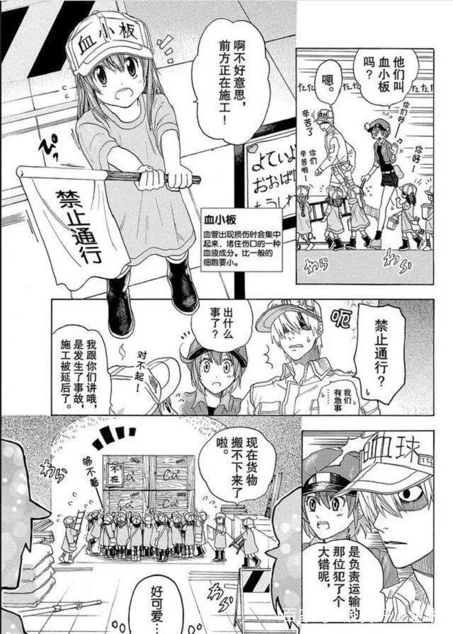 《工作细胞》：用漫画方式讲述人体微观百态，血小板是萝莉太好了