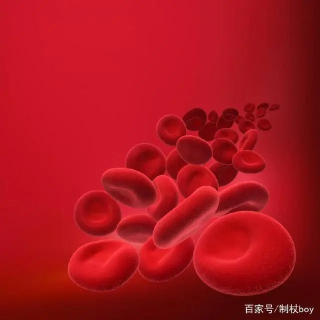 《工作细胞》——纵观整个动漫界，唯有这部番的老婆我是拥有的