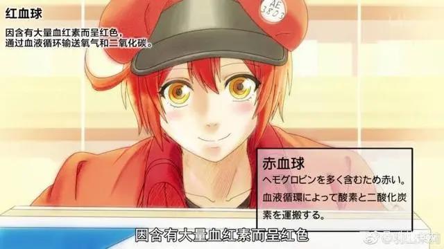 《工作细胞》——纵观整个动漫界，唯有这部番的老婆我是拥有的