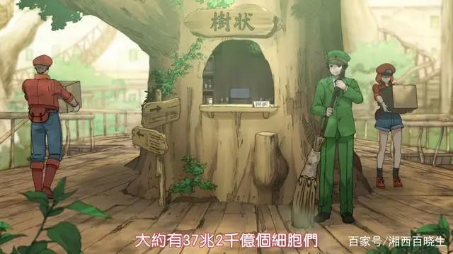 工作细胞，既好看又科普的良心动漫