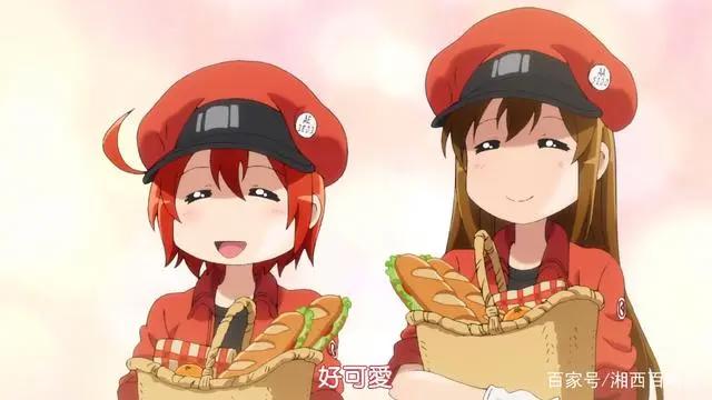 工作细胞，既好看又科普的良心动漫