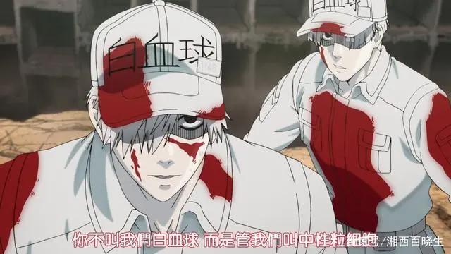 工作细胞，既好看又科普的良心动漫