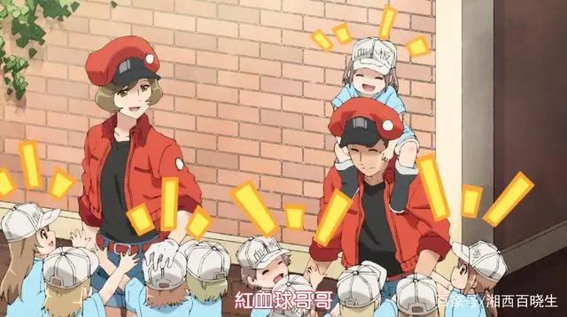 工作细胞，既好看又科普的良心动漫