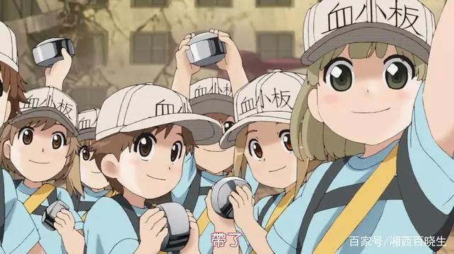 工作细胞，既好看又科普的良心动漫