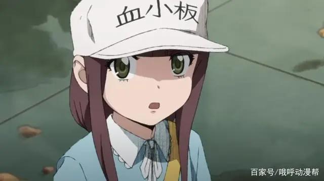 《工作细胞Black》宣布动画化，红白细胞性别互换，拯救坏掉身体