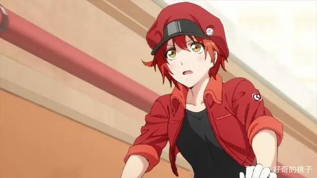 脑洞动漫《工作细胞》，播出3集便获豆瓣9.2分，播放超两千万