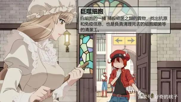 脑洞动漫《工作细胞》，播出3集便获豆瓣9.2分，播放超两千万