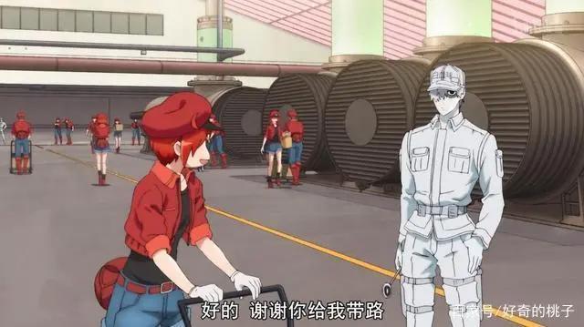 脑洞动漫《工作细胞》，播出3集便获豆瓣9.2分，播放超两千万