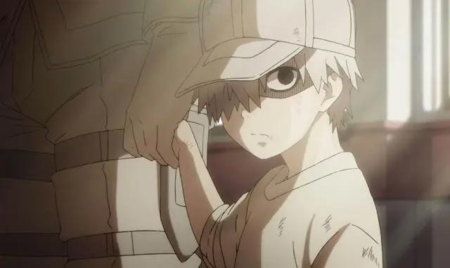 《工作细胞》这是一部关于你体内细胞的科普知识动漫