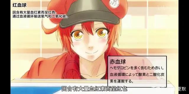 日漫改动画《工作细胞》——你体内的细胞比你好看系列。