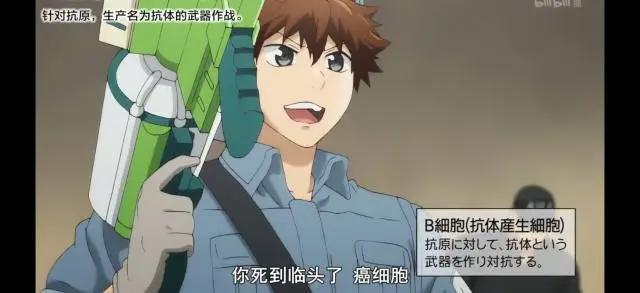 日漫改动画《工作细胞》——你体内的细胞比你好看系列。