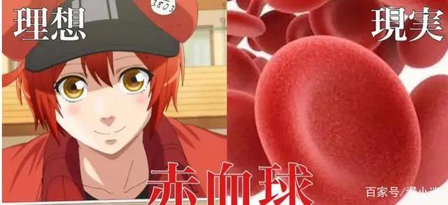 时隔14年，央视再播日本动漫《工作细胞》，不愧是9.8分的神作