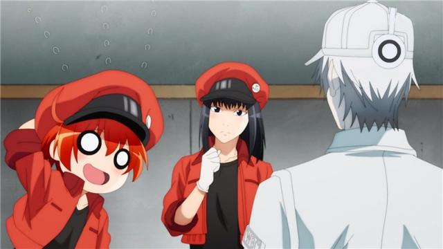 B站追番人数第2的工作细胞，第1季被央视引进，播放方式令人在意