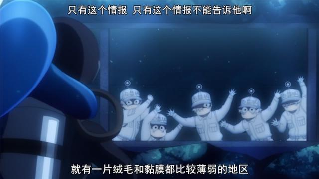 B站追番人数第2的工作细胞，第1季被央视引进，播放方式令人在意