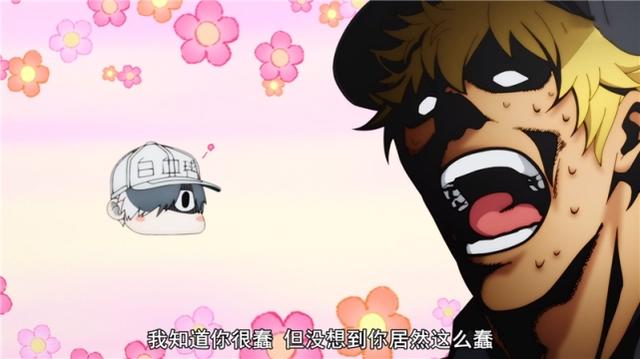 B站追番人数第2的工作细胞，第1季被央视引进，播放方式令人在意