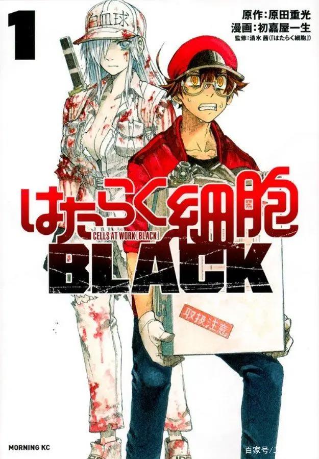 《工作细胞》姐妹作《细胞BLACK》动画化，细胞的过劳职场地狱！