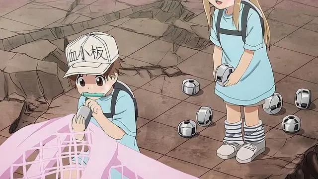 工作细胞：第二季制作决定！血小板、巨噬细胞拟人后你更爱哪个？