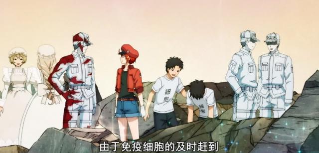 工作细胞第二季：登革热篇登场的两位新细胞，黑丝竟在我体内？