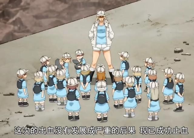 工作细胞第二季：“血大板”登场，不但是个御姐，性格还很傲娇