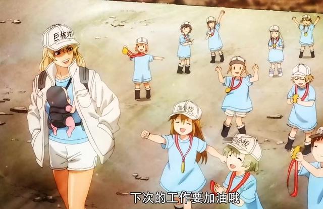 工作细胞第二季：“血大板”登场，不但是个御姐，性格还很傲娇