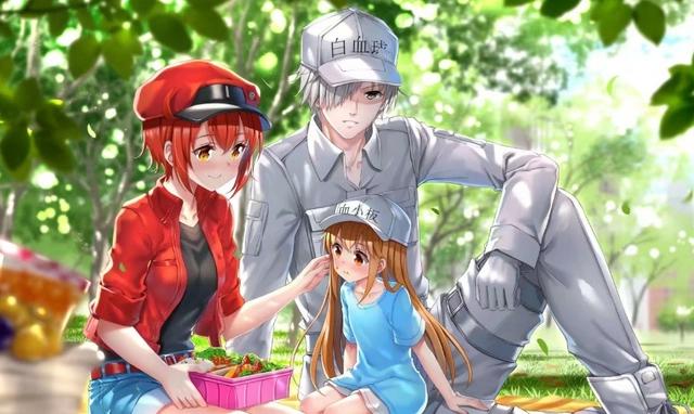 一月新番确定，B站引进16部动漫，工作细胞五等分将成最大赢家？