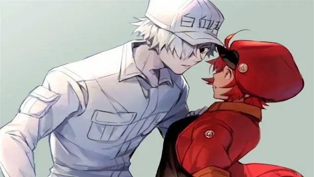 电影版《工作细胞》确定引进，网友：第二季？“东北话”会有吗