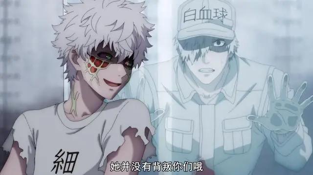 电影版《工作细胞》确定引进，网友：第二季？“东北话”会有吗